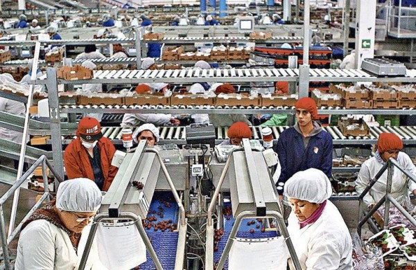 Guía práctica para recibir bonos y ayudas tributar... | R & V | Asesorías Tributarias